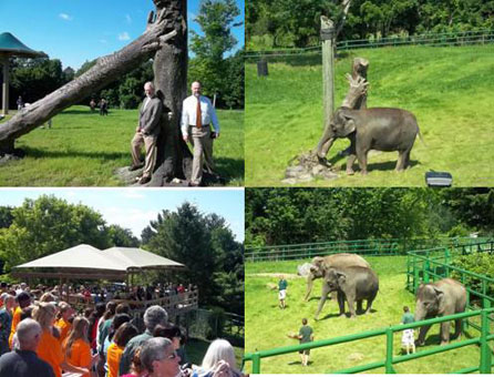 Zoo Elephant Openning